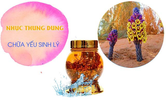 chữa yếu sinh lý bằng Nhục thung dung