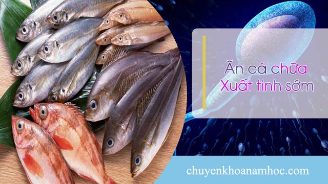 Chữa xuất tinh sớm bằng cách ăn cá