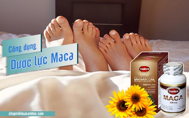 Công dụng của Dược lực Maca