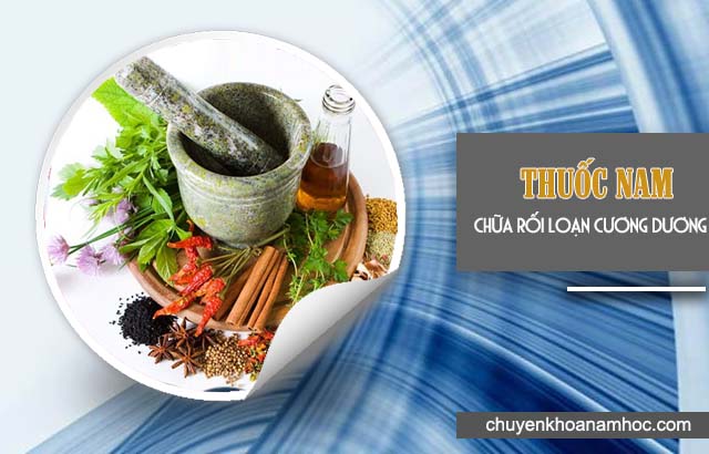 Thuốc nam trị rối loạn cương dương