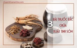 bài thuốc bắc chữa xuất tinh sớm