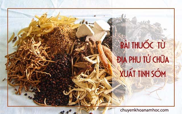 bài thuốc bắc chữa xuất tinh sớm