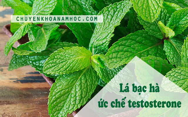 giảm ham muốn tình dục bằng thực phẩm
