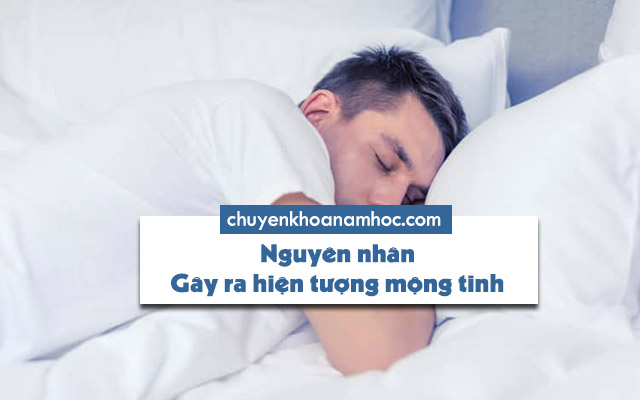 Nguyên nhân gây ra hiện tượng mộng tinh khi ngủ