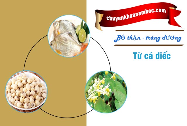 bổ thận tráng dương từ cá diếc