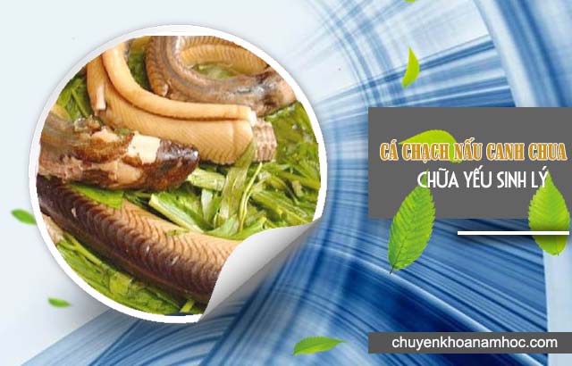 Cá chạch chữa yếu sinh lý