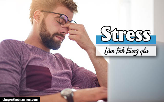 stress là nguyên nhân làm tinh trùng yếu