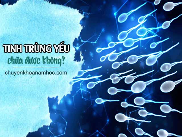 tinh trùng yếu chữa được không