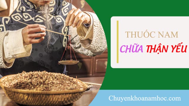 Chữa thận yếu bằng thuốc nam