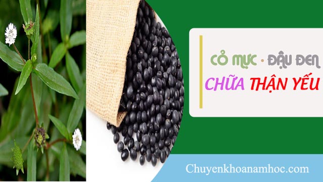 chữa thận yếu bằng cỏ mực và đậu đen