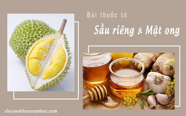 chữa yếu sinh lý bằng sầu riêng