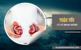 Thận yếu có gây vô sinh không