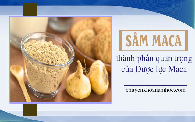 thành phần của dược lực Maca