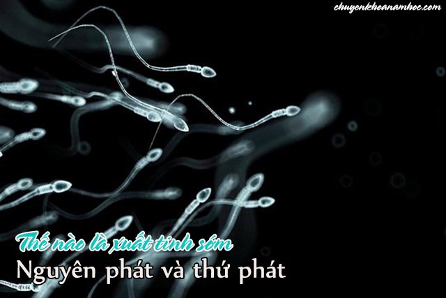 xuất tinh sớm nguyên phát và thứ phát.