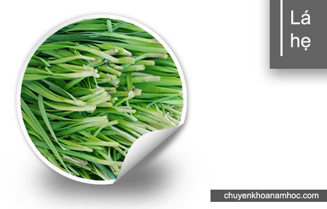 chữa yếu sinh lý với hẹ 