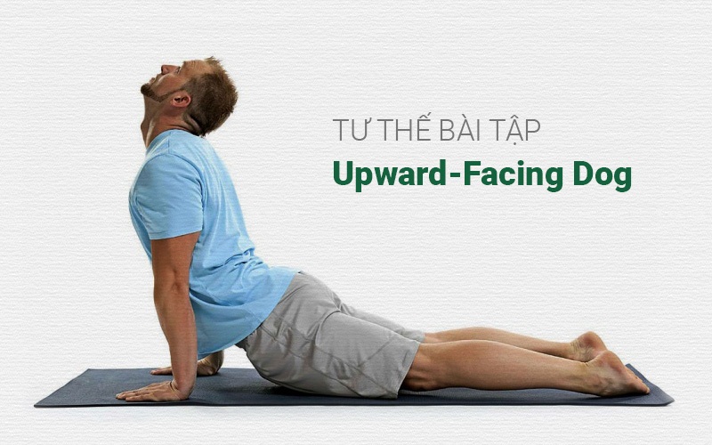 Bài tập chống xuất tinh sớm Upward-Facing dog