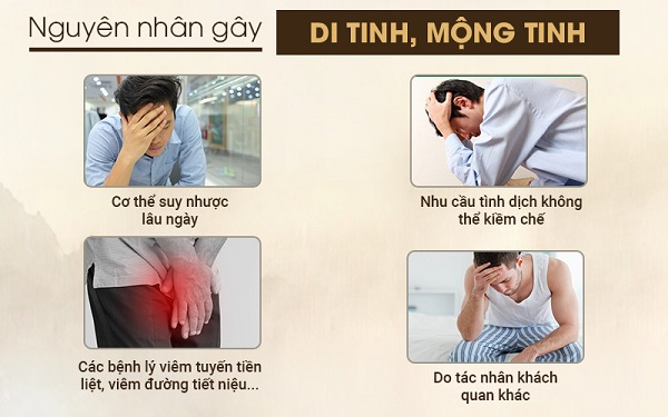 Nguyên nhân gây di tinh, mộng tinh