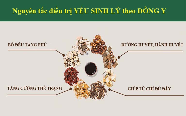 Nguyên tắc yếu sinh lý theo Đông y