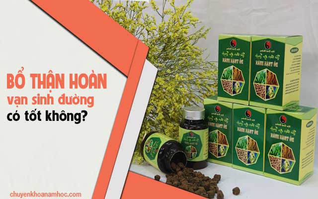 bổ thận hoàn vạn sinh đường