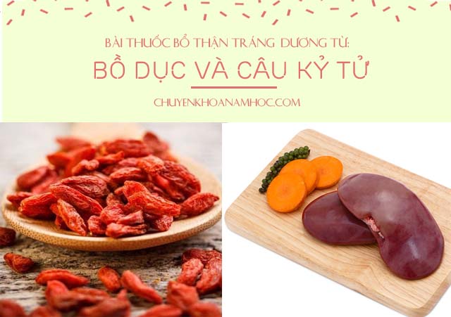 bài thuốc bổ thận tráng dương từ bồ dục