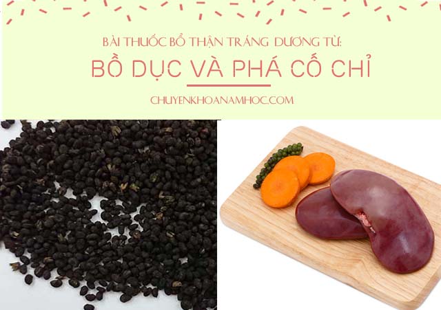 bồ dục giúp bổ thận tráng dương