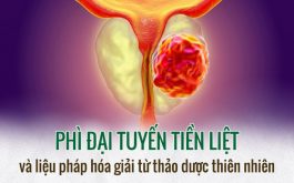 phi-dai-tien-liet-tuyen