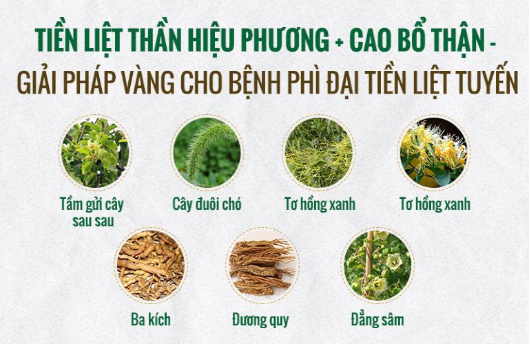 Tiền liệt Thần hiệu phương kết hợp hàng chục dược liệu quý