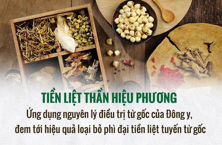 phi-dai-tien-liet-tuyen-8