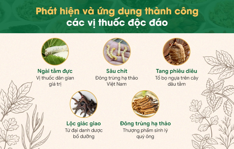 Bài thuốc Mãnh lực Phục dương khang kết hợp nhiều vị thuốc quý