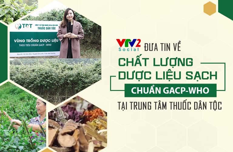 Nguồn dược liệu Thuốc dân tộc được VTV2 đưa tin