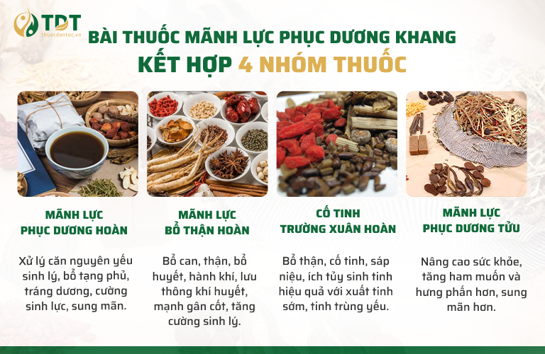 Công thức bài thuốc Mãnh lực Phục dương khang