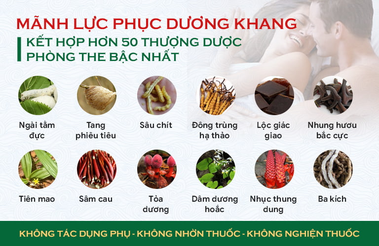 Mãnh lực Phục dương khang quy tụ hơn 50 thượng dược bậc nhất