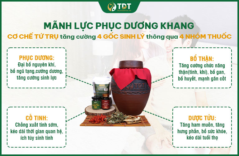 Công thức bài thuốc Mãnh lực Phục dương khang